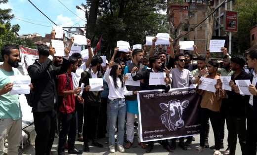 गौहत्याविरुद्ध माइतिघरमा विद्यार्थीहरूले गरे प्रदर्शन 